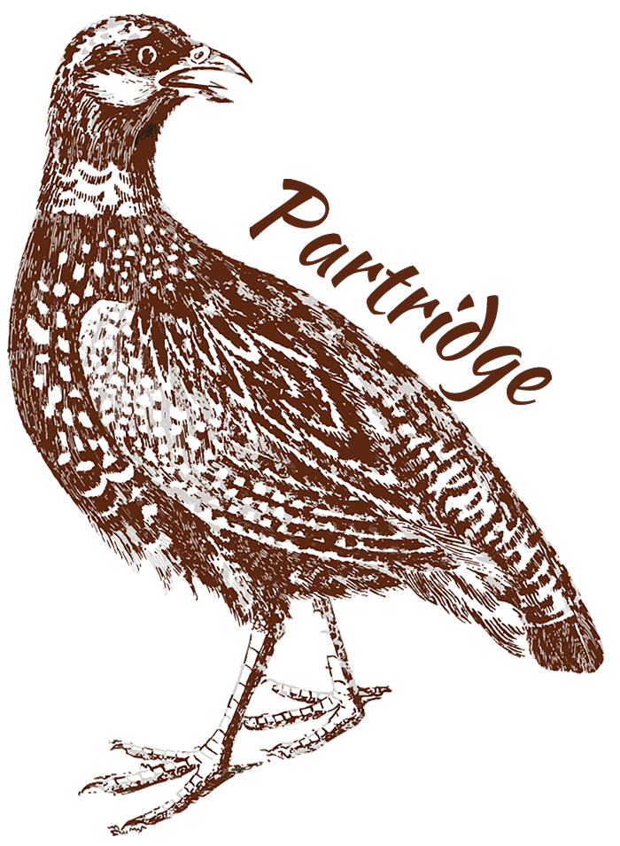 Partridge