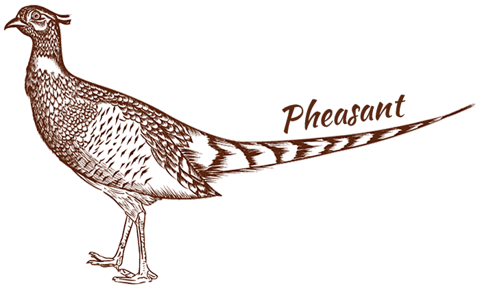 Pheasant