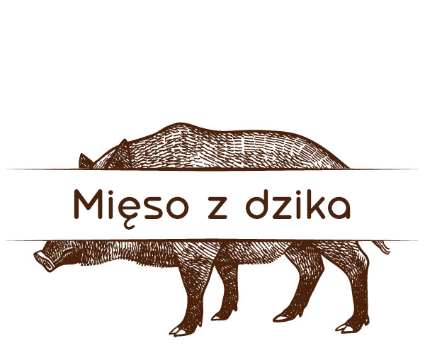 Mięso z dzika